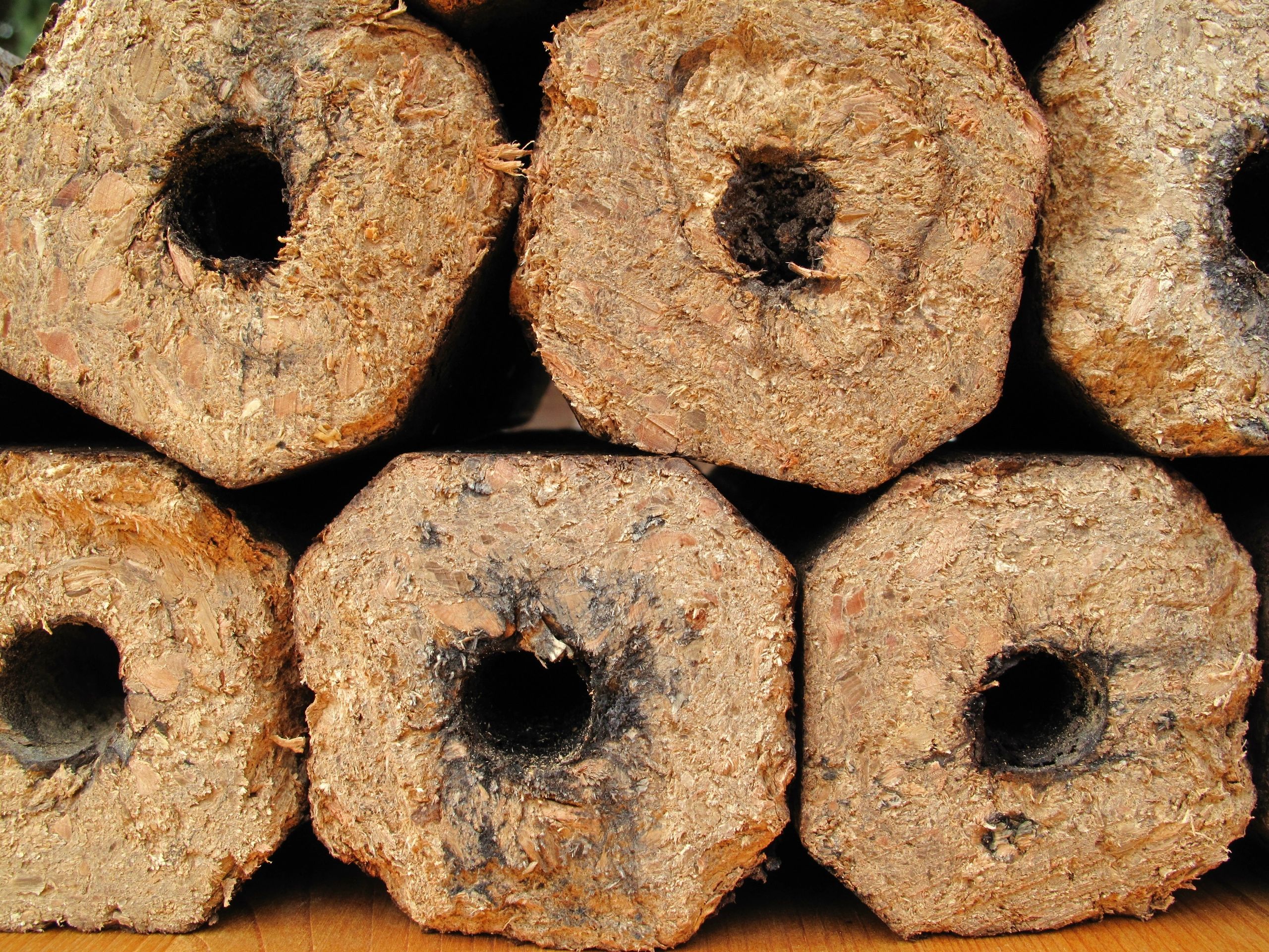 Biomass briquettes